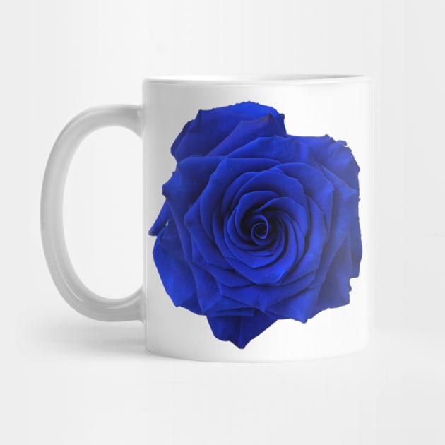 blue flower by PREMIUMSHOP